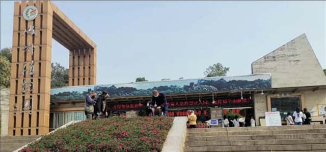 Température de jardin botanique de chengdu